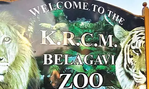 K’taka blackbuck death toll rises to 29