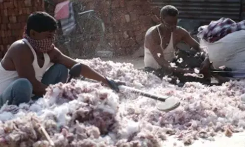 Rs 68 crore Kapas Kranti Mission boosting cotton farming, ushering digital transformation: Report