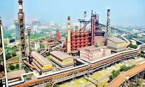 Govt rules out VSP privatisation