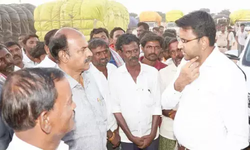 Cotton procurement resumes after DC’s intervention