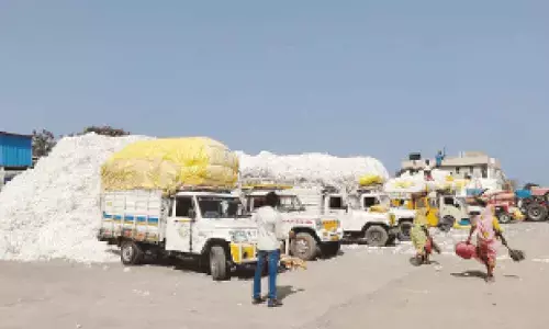 Piqued over CCI’s harsh norms, cotton association calls for bandh