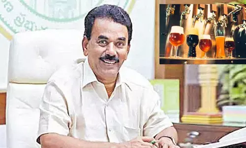 Launch gets longer as... Minister sits tight on  micro-breweries file