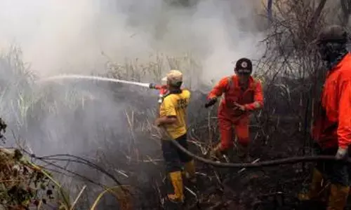 Japan: One person dies, over 170 buildings damaged after fire erupts in Oita