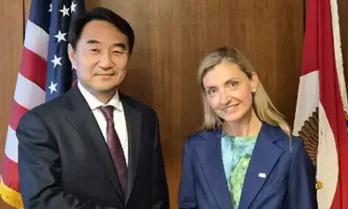 South Korea stresses need to improve US visa issues for investors