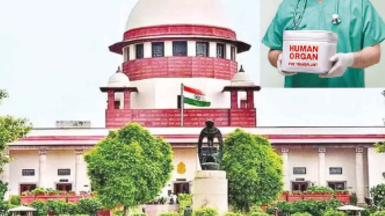 Frame national policy, uniform rules on organ transplantation: SC tells Centre Frame national policy, uniform rules on organ transplantation: SC tells Centre