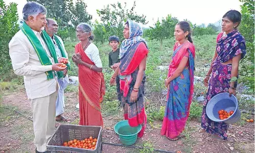 NDA rebuilding AP after ‘economic destruction’ under YSRCP: Naidu