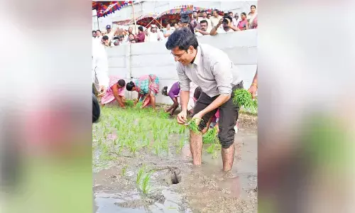 Rs104 cr PM-Kisan aid brings cheer to Tirupati farmers