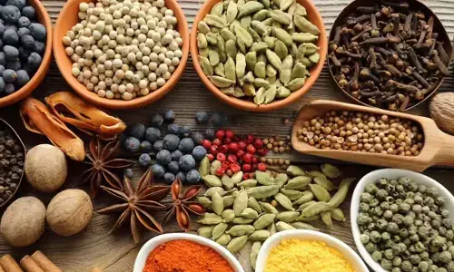 Winter Wellness: Essential Herbs to Boost Immunity, Digestion, and Warmth