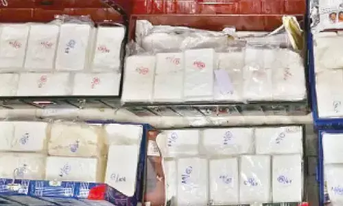 African woman on student visa held with worth Rs 15L cocaine