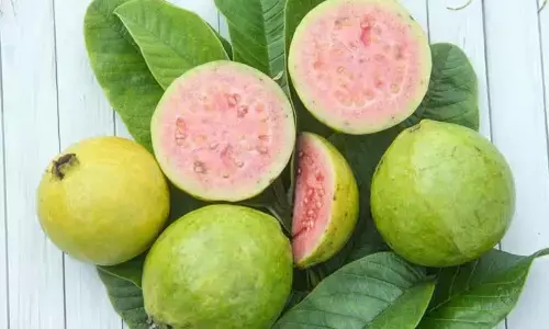 Guava: The Protein-Packed Superfruit Every Fitness Enthusiast Needs
