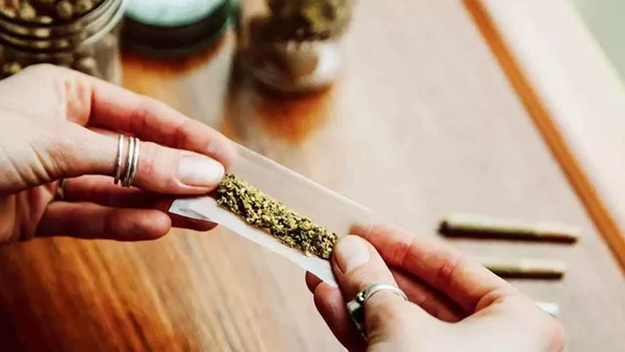 Punjabi caught in Goa with 146 grams of ‘charas’ Punjabi caught in Goa with 146 grams of ‘charas’