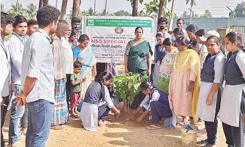 NSS volunteers plant saplings