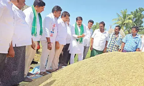 Now, farmers can sell paddy through WhatsApp