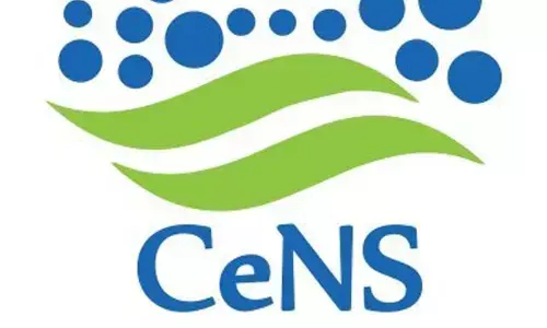 Indian scientists develop cathode material for zinc batteries with increased storage