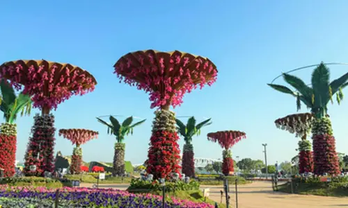 Gujarat: Ahmedabad flower show 2026 to dazzle Sabarmati Riverfront
