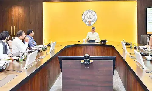 Naidu pushes food-processing expansion to lift farm value chain