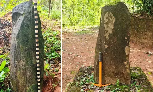 Two Megalithic Menhirs Unearthed in Kundapura, Indicating Late Phase of Iron Age Culture