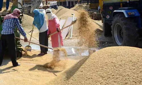 Global organisations laud India’s labour reforms for social protection, inclusive growth