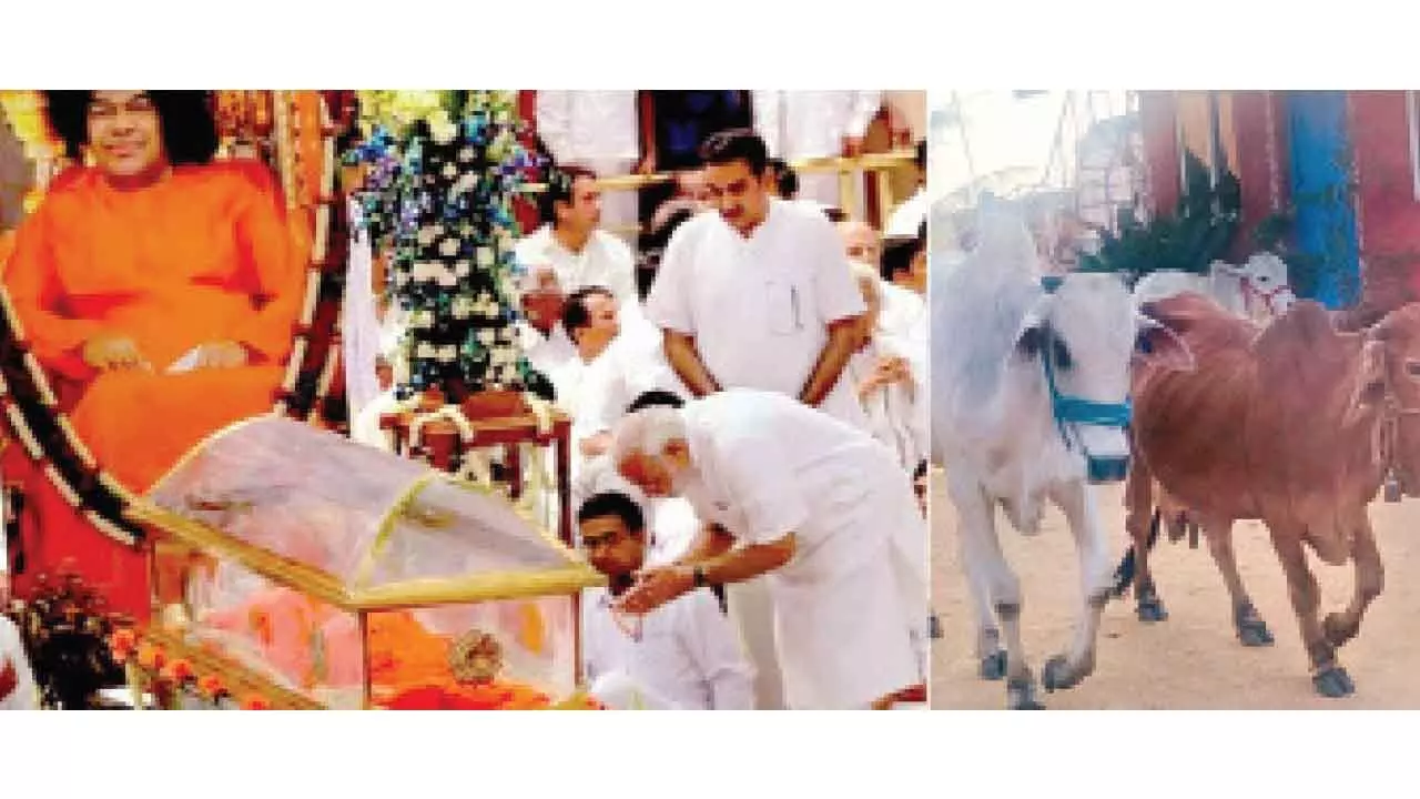 Gau Mata, the ‘shrine of compassion, culture and wisdom’ Gau Mata, the ‘shrine of compassion, culture and wisdom’