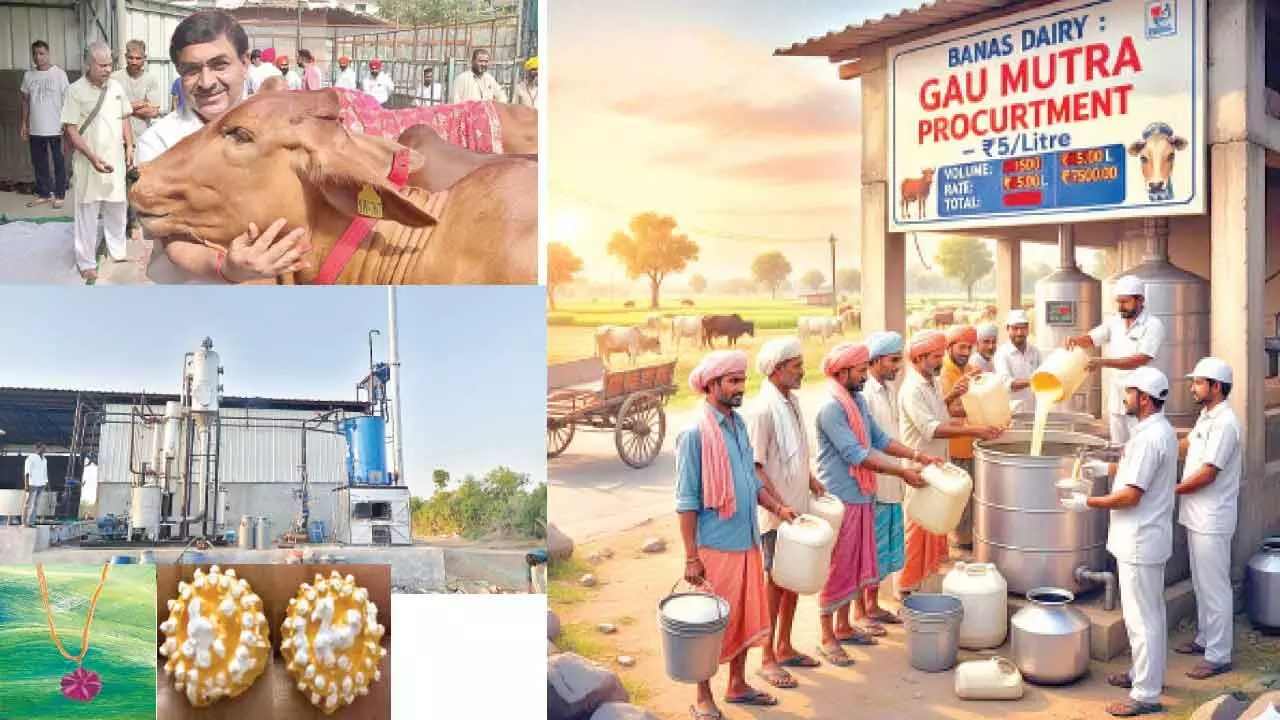 Gaumutra, gobar & growth-India’s billion-dollar brown revolution Gaumutra, gobar & growth-India’s billion-dollar brown revolution