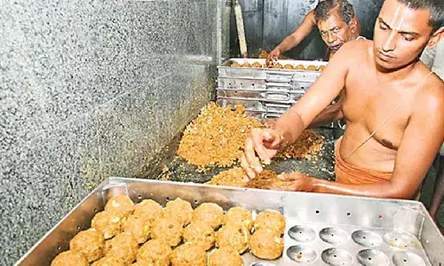 SIT uncovers massive ghee adulteration!