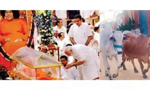 Gau Mata, the ‘shrine of compassion, culture and wisdom’