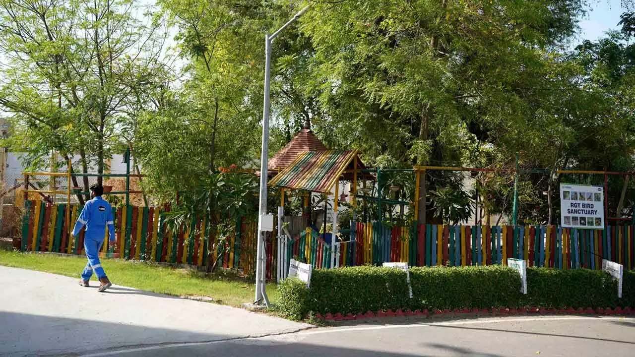 Cairn reports 89,770 tonnes of Carbon Emission reduction in FY25 - Equivalent to planting 4.5 million Trees/Year Cairn reports 89,770 tonnes of Carbon Emission reduction in FY25 - Equivalent to planting 4.5 million Trees/Year