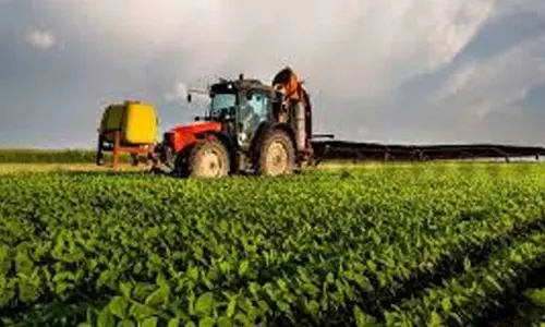 Rythanna–Meekosam week begins today