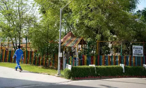 Cairn reports 89,770 tonnes of Carbon Emission reduction in FY25 - Equivalent to planting 4.5 million Trees/Year Cairn reports 89,770 tonnes of Carbon Emission reduction in FY25 - Equivalent to planting 4.5 million Trees/Year