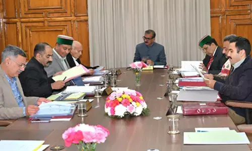 Himachal Pradesh to set up unified Special Task Force to curb narcotics