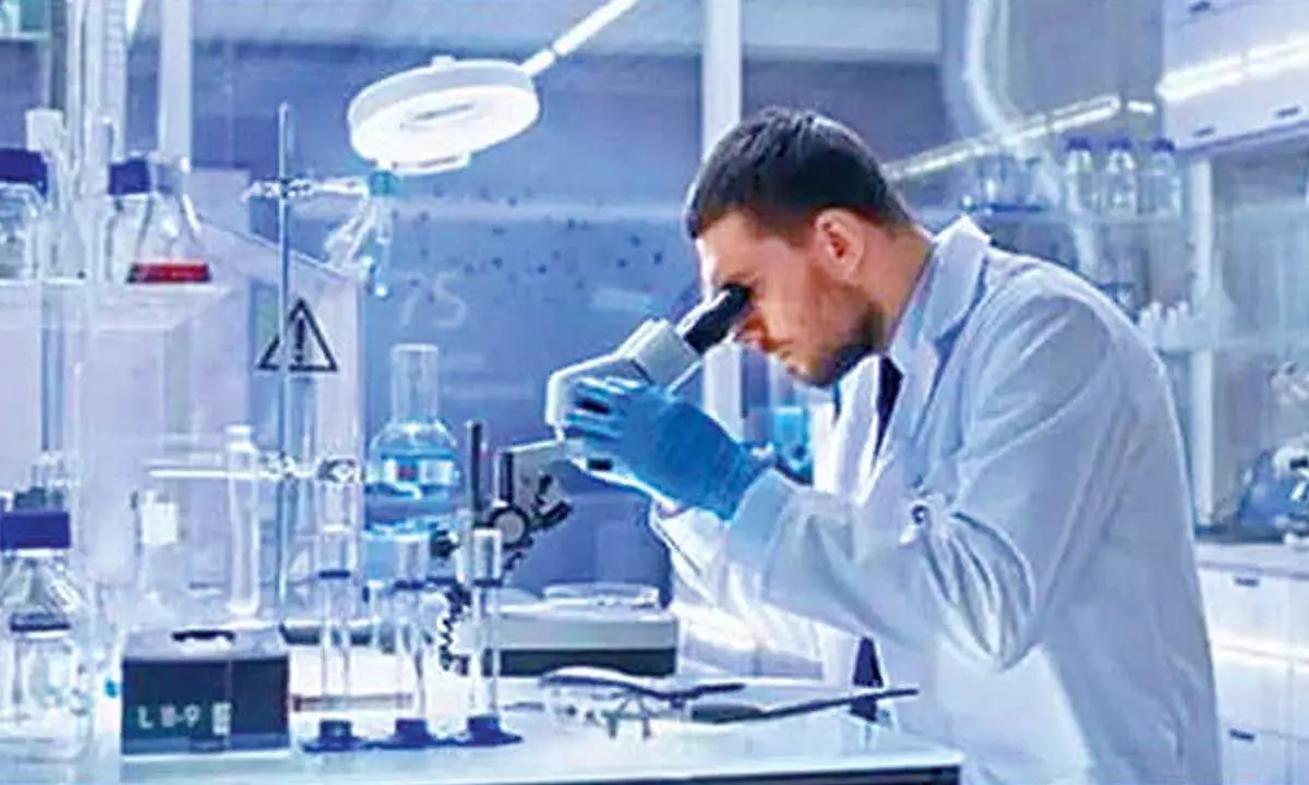 Scientists develop cathode material for zinc batteries with increased storage Scientists develop cathode material for zinc batteries with increased storage