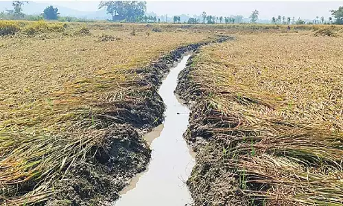 Hike in crop loss compensation sought