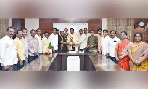 Efforts of employees key to development: Collector