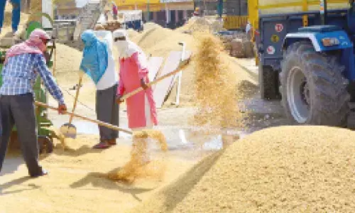 New labour reforms to churn 77 L jobs, fuel wage growth