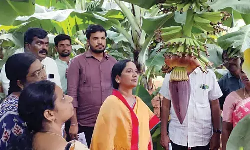 Govt committed to ensuring MSP for every crop: MLA Sunitha
