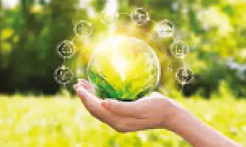 India’s green economy may churn 48-mn jobs, get $4.1-trn inflows