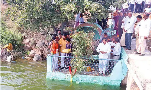 Krishna waters bring new hope to Rayalaseema farmers: MLA
