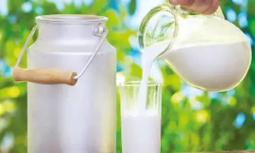 Indians still prefer milk despite smoothie-protein shake trend