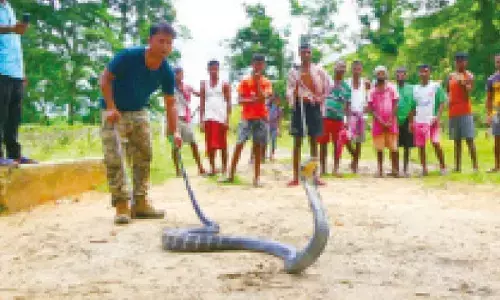 State govt to form special team for king cobra rescues
