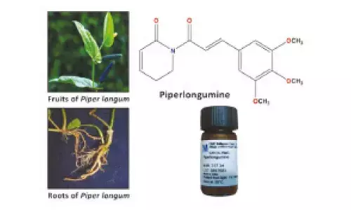 Researchers explore natural long pepper molecule as safer option for colon cancer treatment