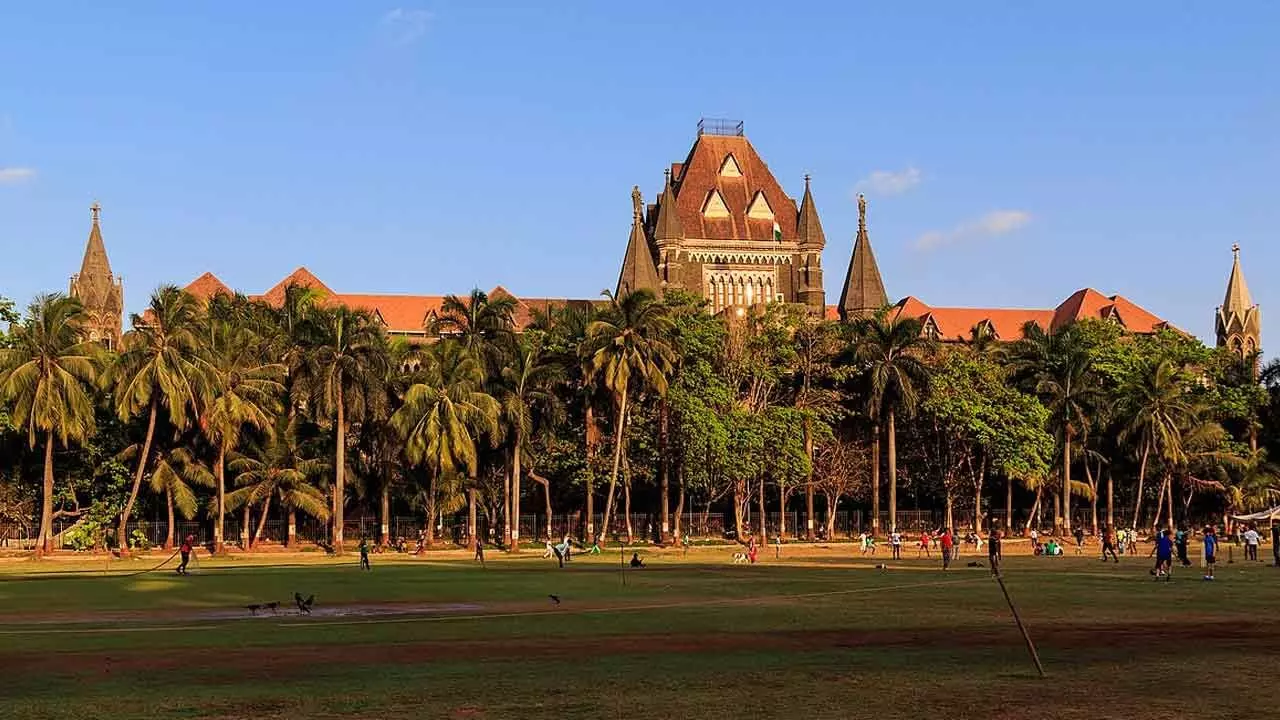 Dont blame volcanic ash for Mumbais poor AQI: HC