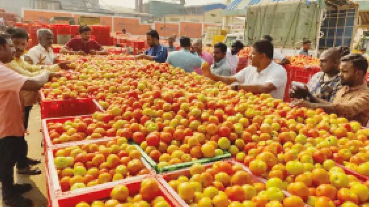 Tomato prices soar in Bengaluru, touch Rs 90 per kg as supply dips