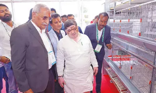 17th Poultry India Expo 2025