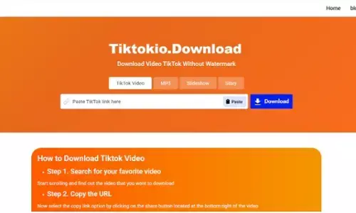 TikTok Saver: TikTok Video Saver Without Watermark in 5s - TikTokio