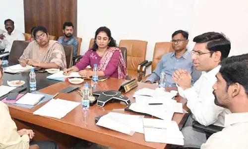 Start Flamingo Festival preparations immediately: Collector