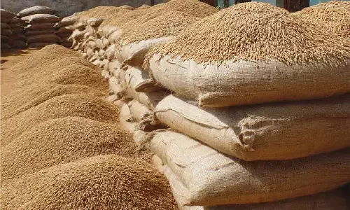 State targets 51 lakh tonne paddy purchase