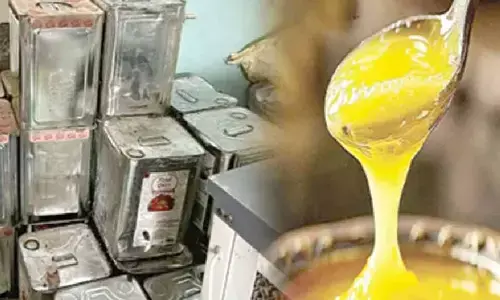 Despite CFTRI red flag, adulterated ghee used in laddus for 2 years: SIT