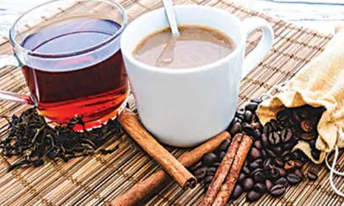 Coffee industry to reach up to $3.2 billion by 2028