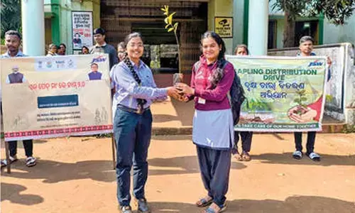 JSW Steel distributes saplings