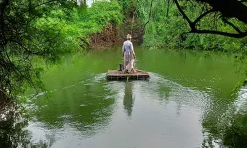 Gujarat village finds relief as CM’s ‘Swagat Online’ clears road-bridge project